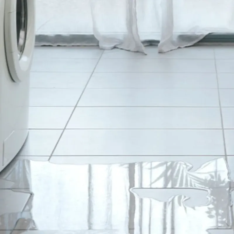 Appliance Leak Cleanup in Grandview, TX