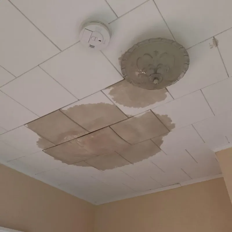 Ceiling Water Damage Repair in Grandview, TX