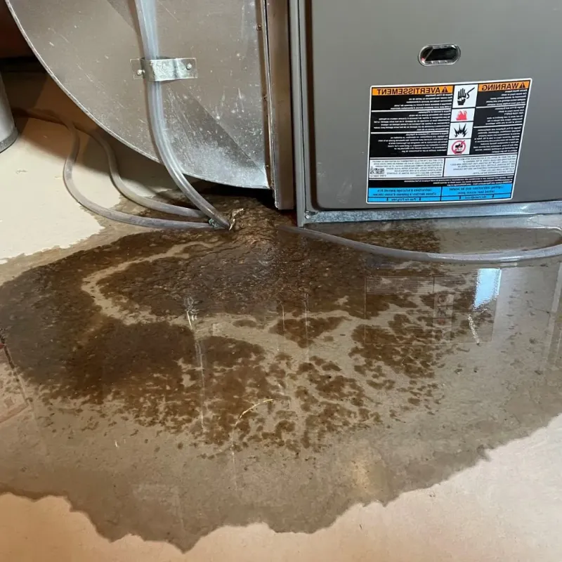Pipe Burst and Leak Restoration in Grandview, TX