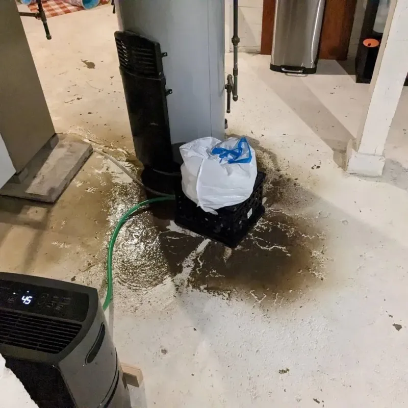 Sewage Backup Cleanup Service in Grandview, TX